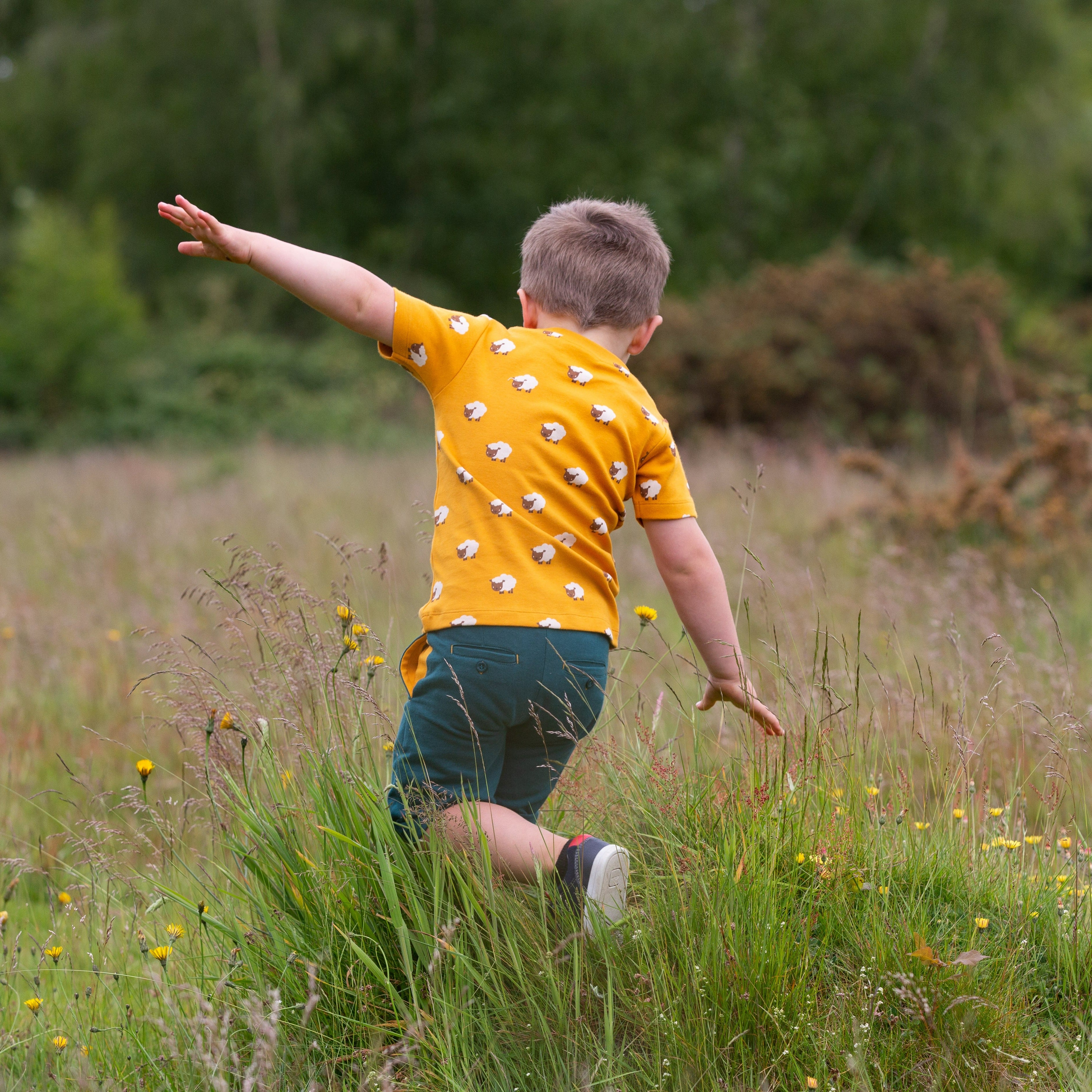 Young boy in a mustard yellow sheep-print shirt and teal shorts runs through tall grass.