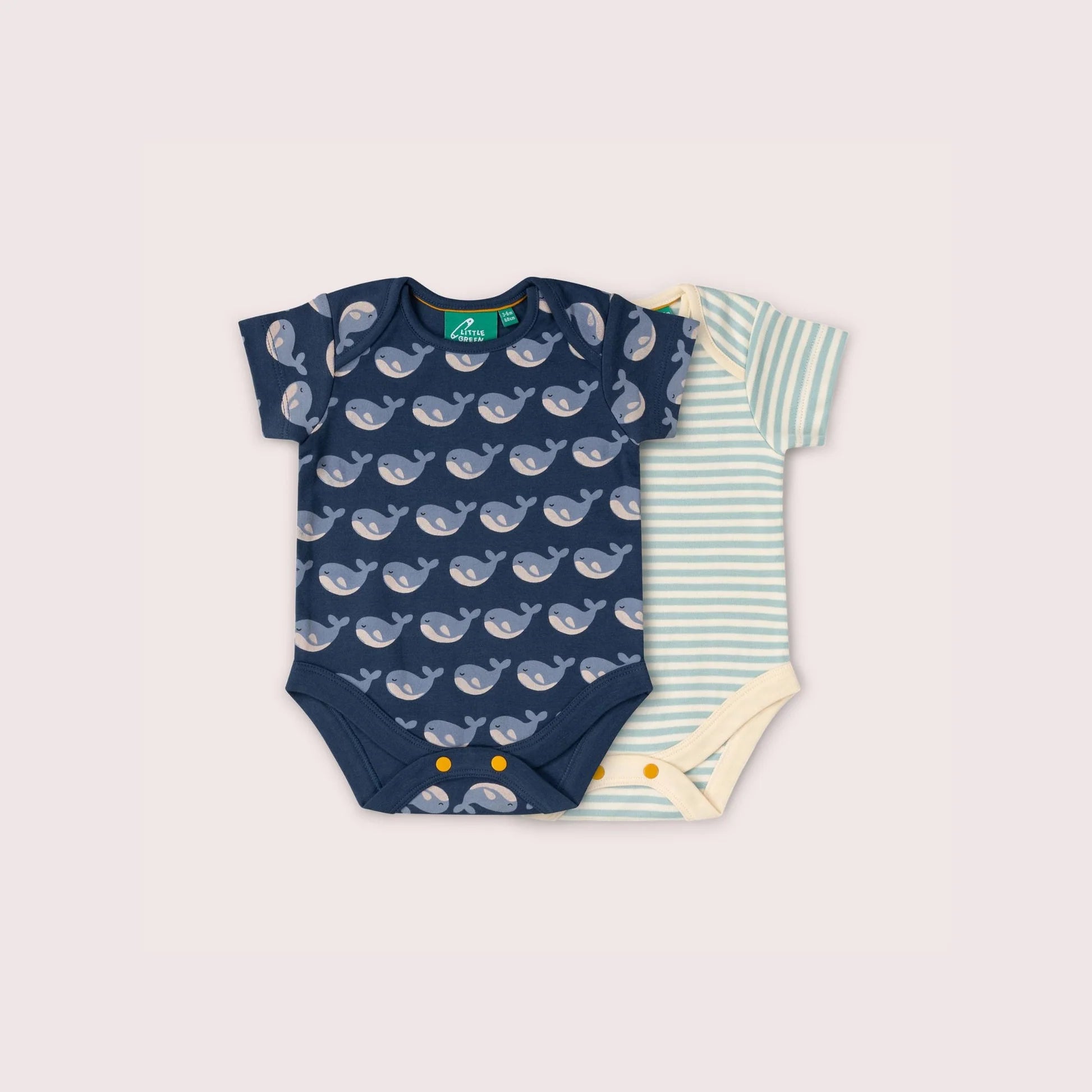 Two baby bodysuits with whale pattern and striped design on a light gray background