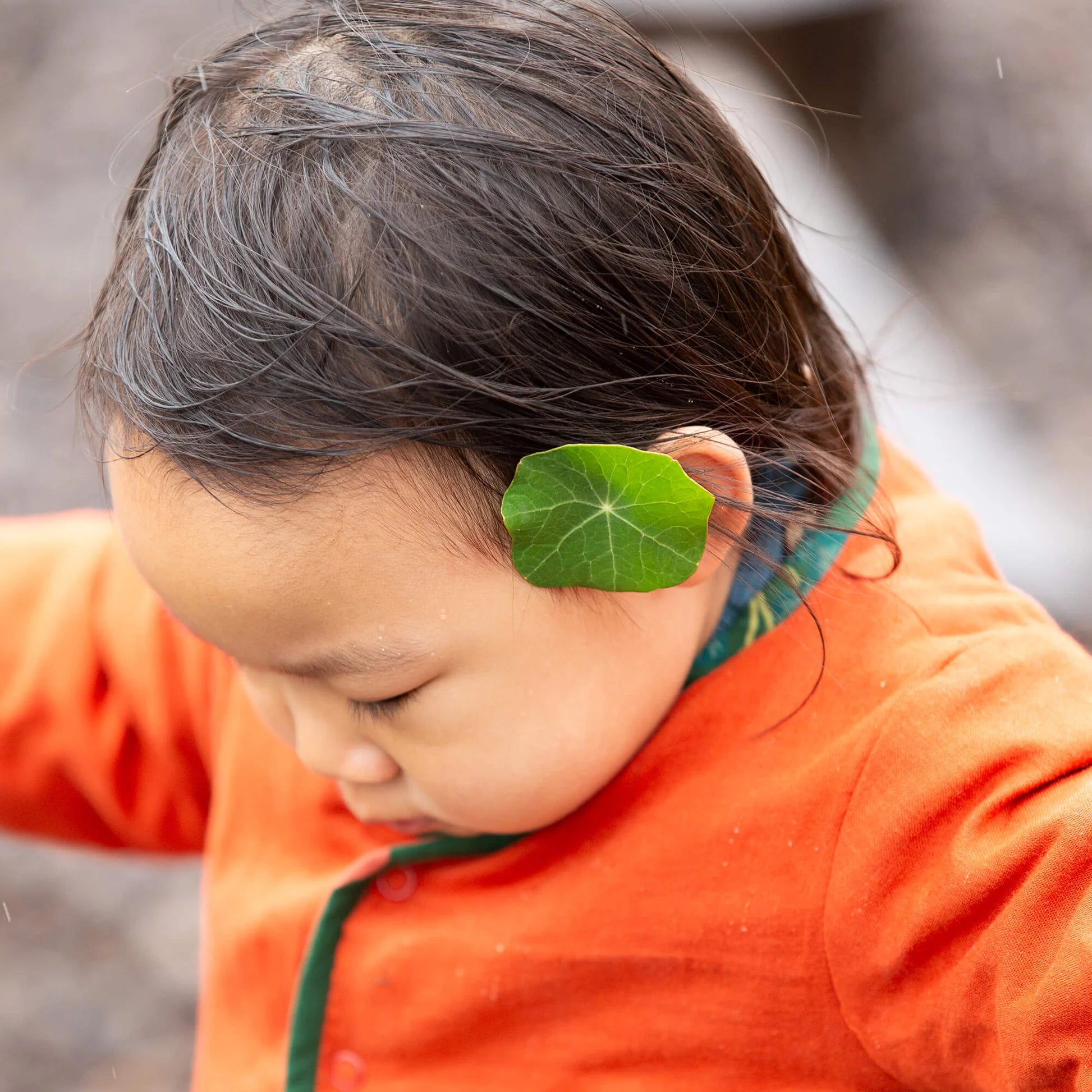 Child wearing a green leaf in their hair with a blurred background