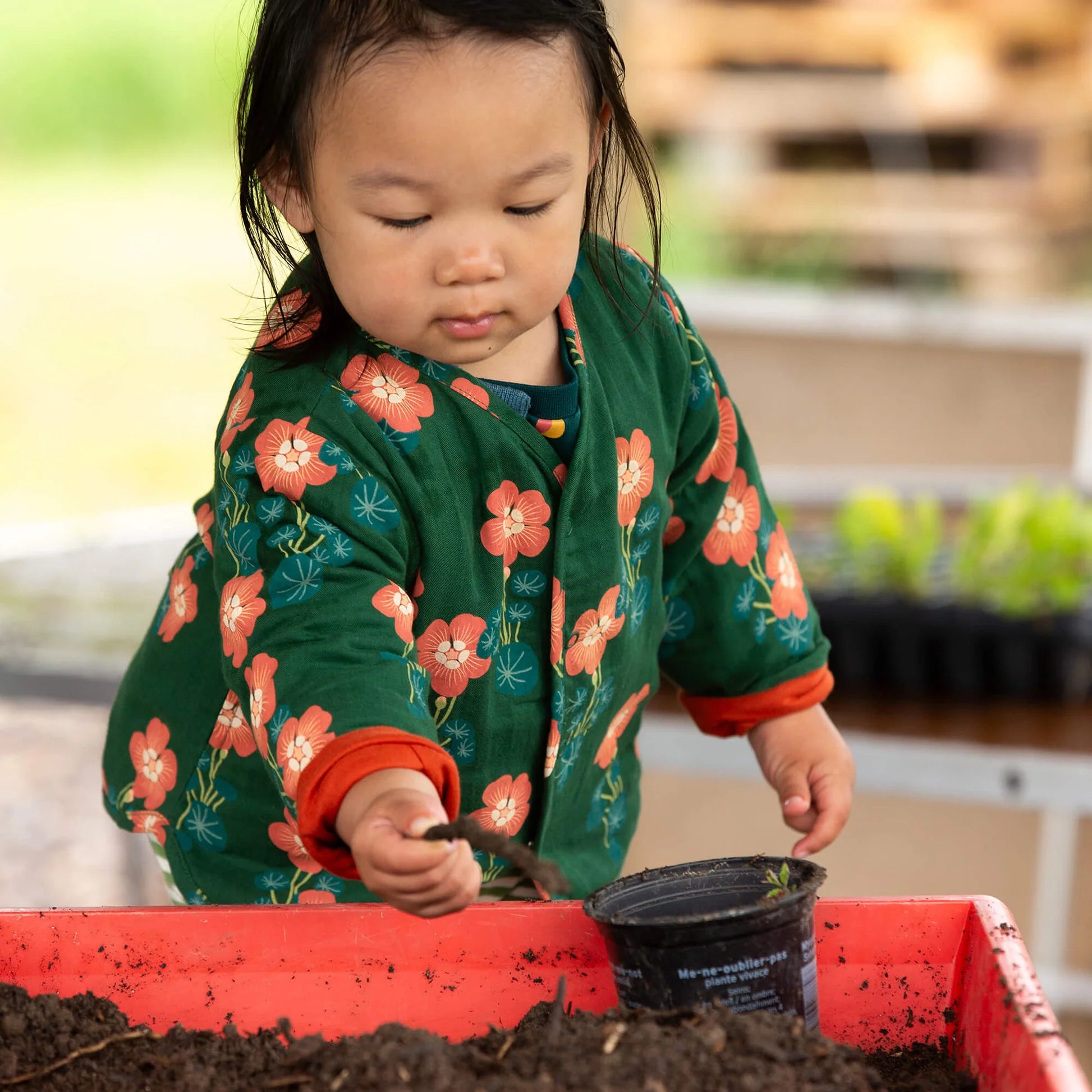 Child in a floral jacket planting seeds in a garden bed.