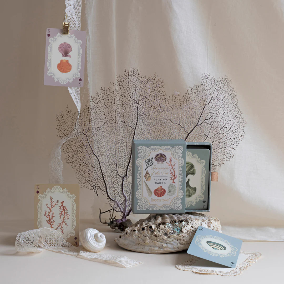Decorative setting with seashells, cards, and a framed picture on a neutral background
