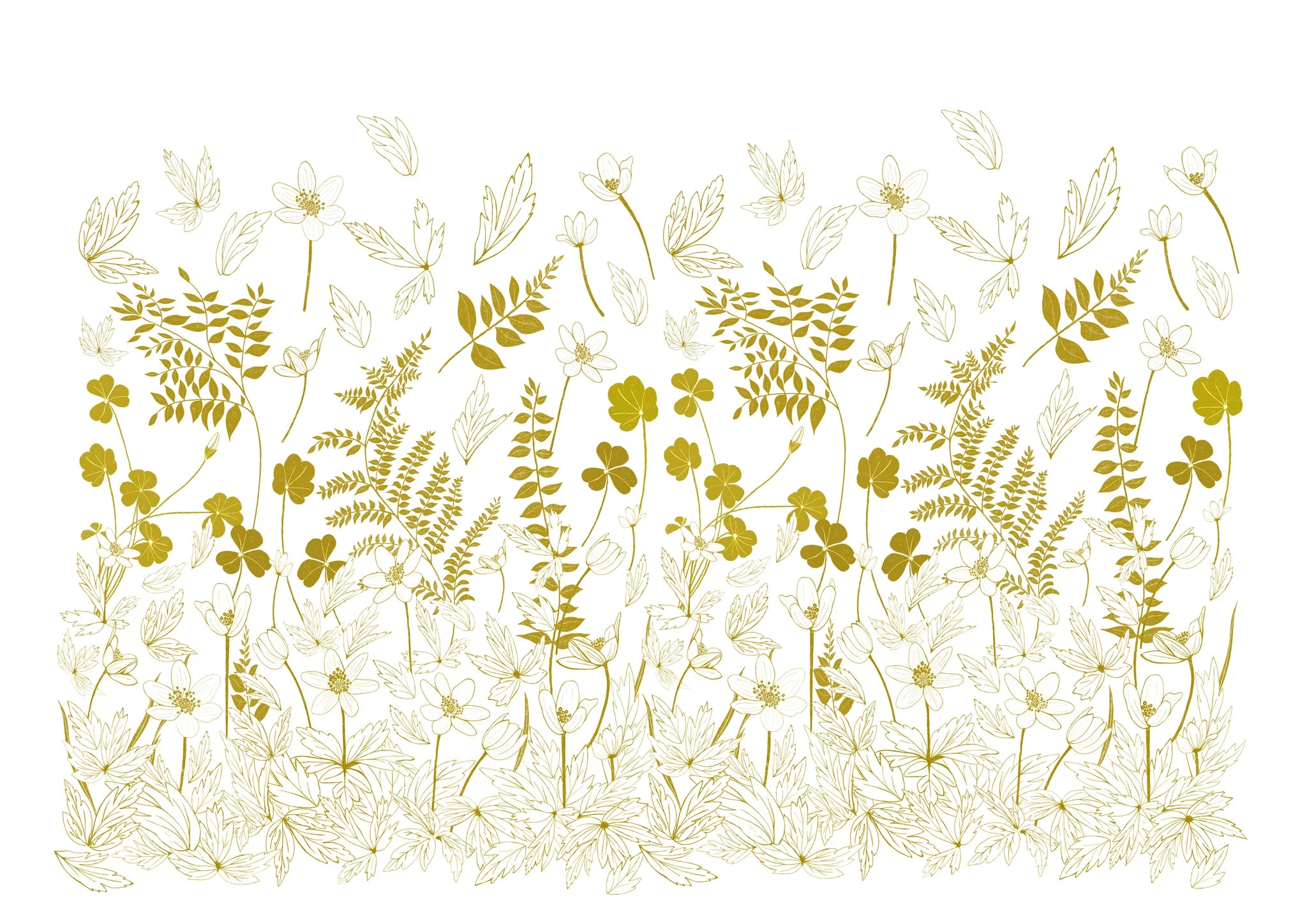 Gold line drawing of wildflowers and ferns, including anemones and clover, arranged in a dense, horizontal botanical