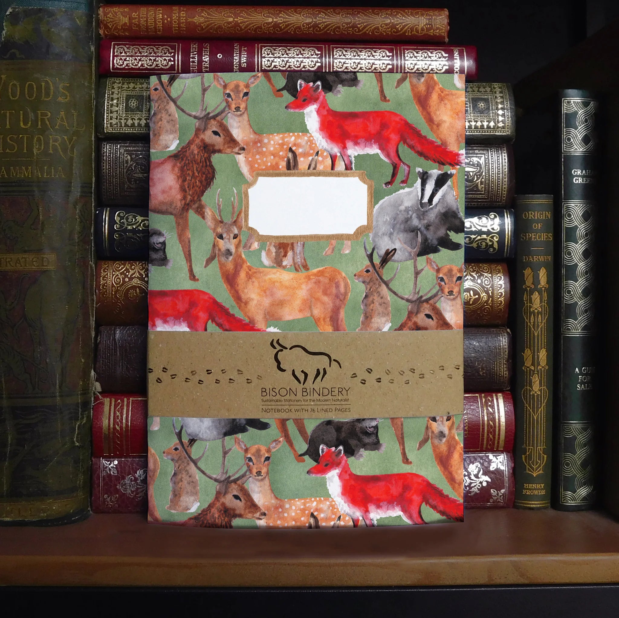 A5 Lined Notebook - Sylvan Forest Animals