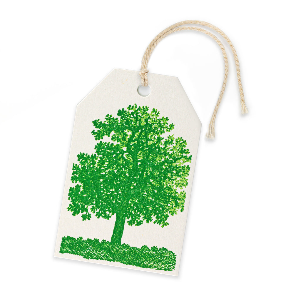 Off-white paper gift tag with a green tree illustration and a light brown twine string.