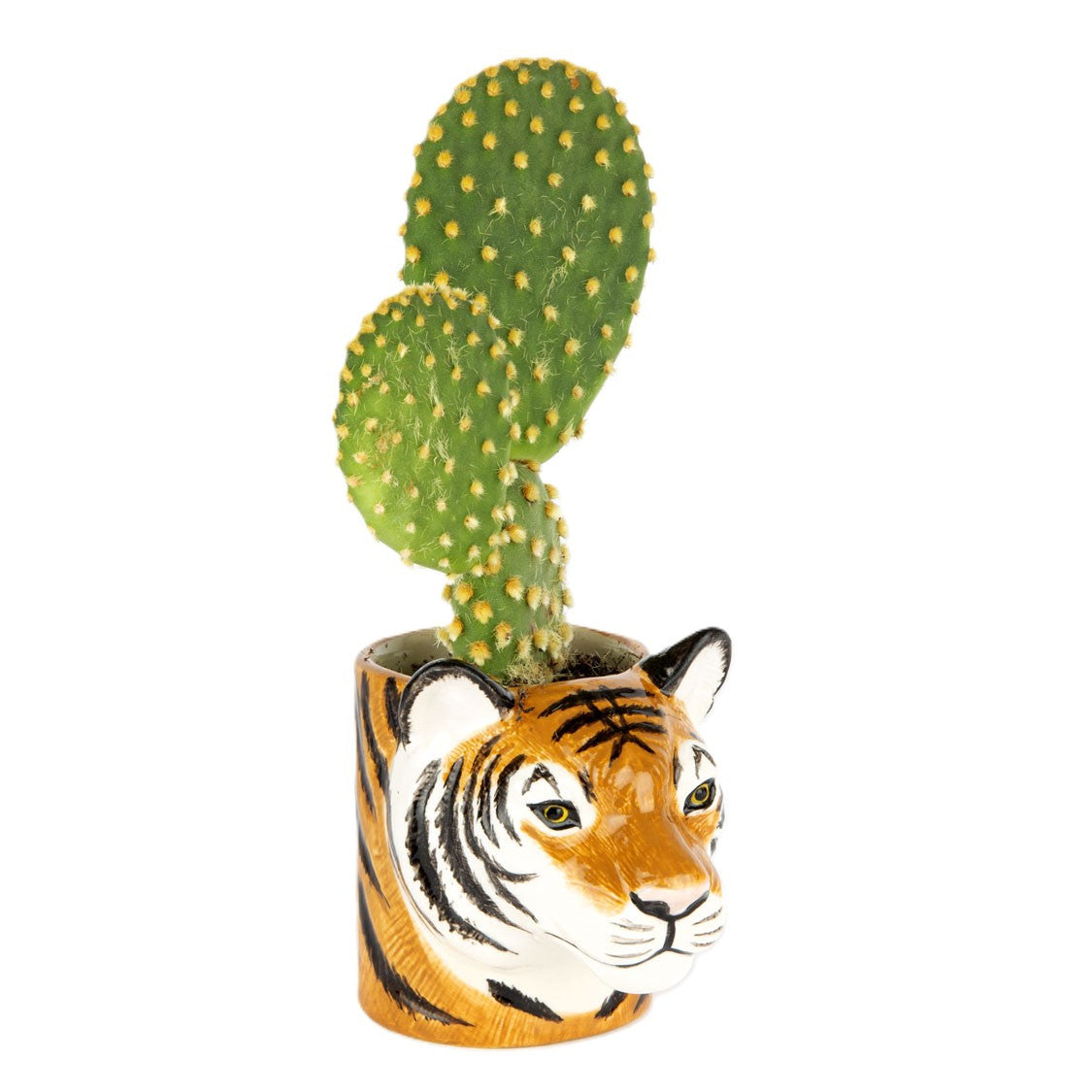 Ceramic tiger planter with a cactus on a white background