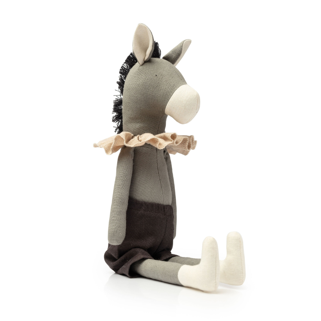 Darwin the Donkey