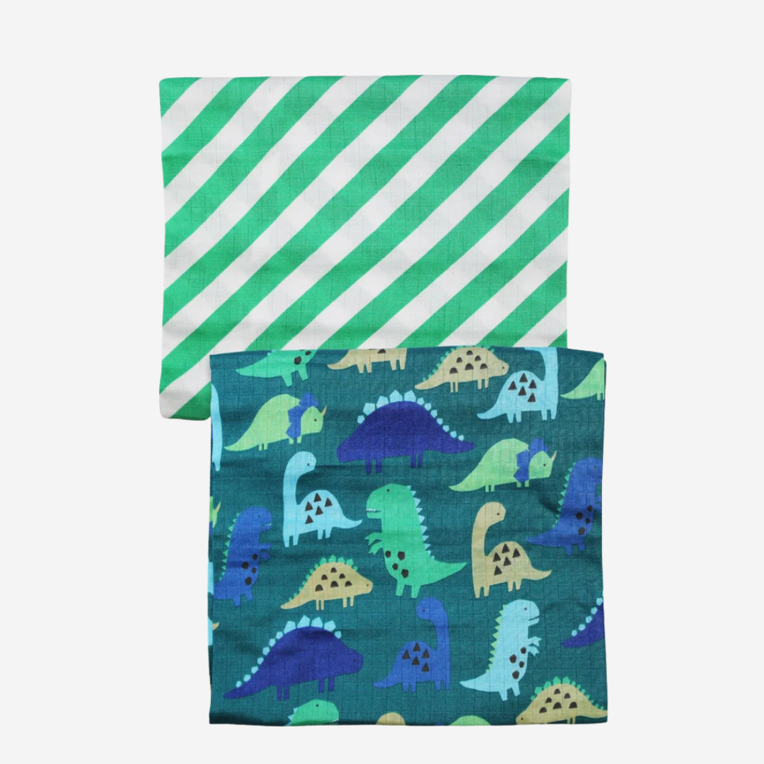 Muslin 2-Pack - Dinosaur