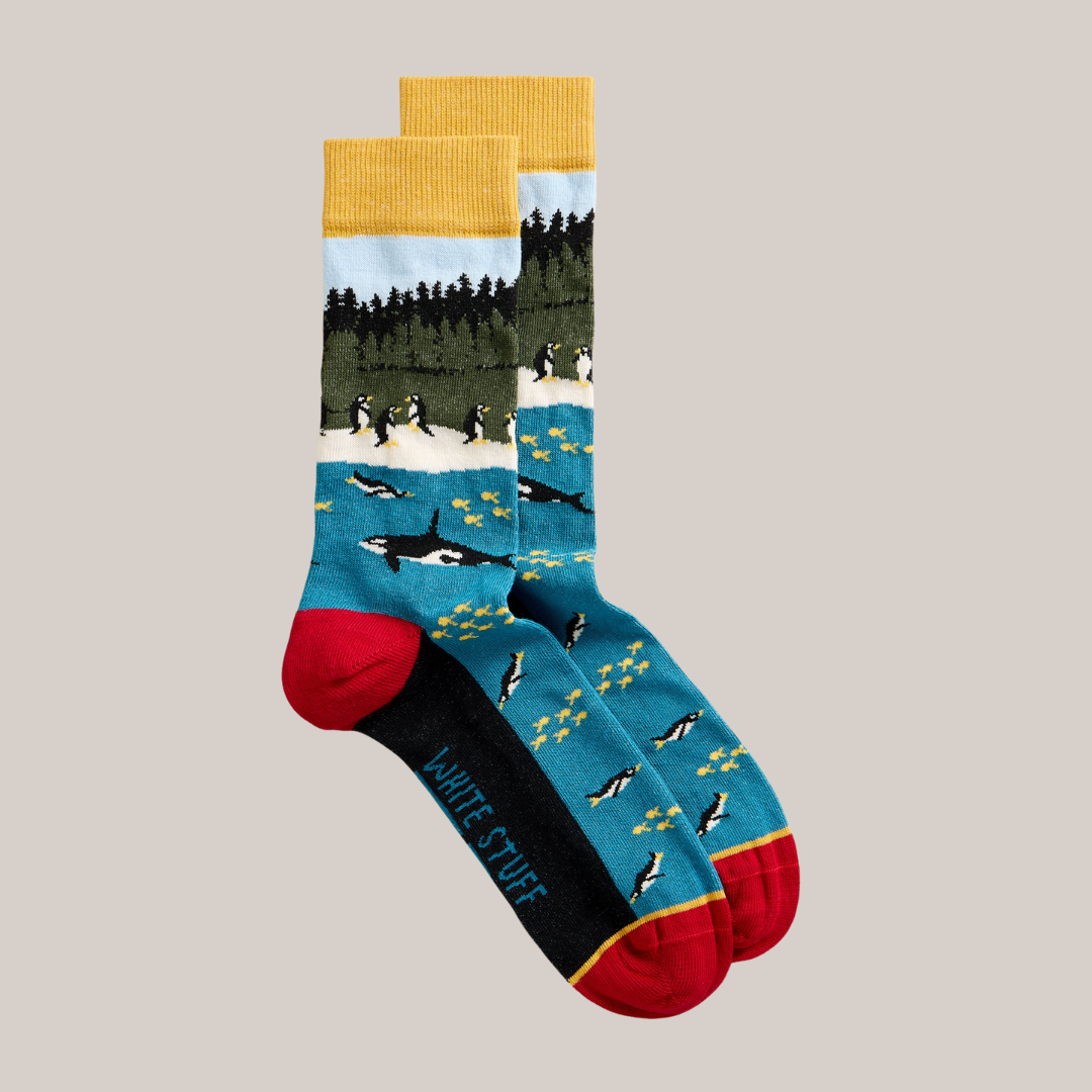 Whale & Penguins Ankle Socks - Blue Multi