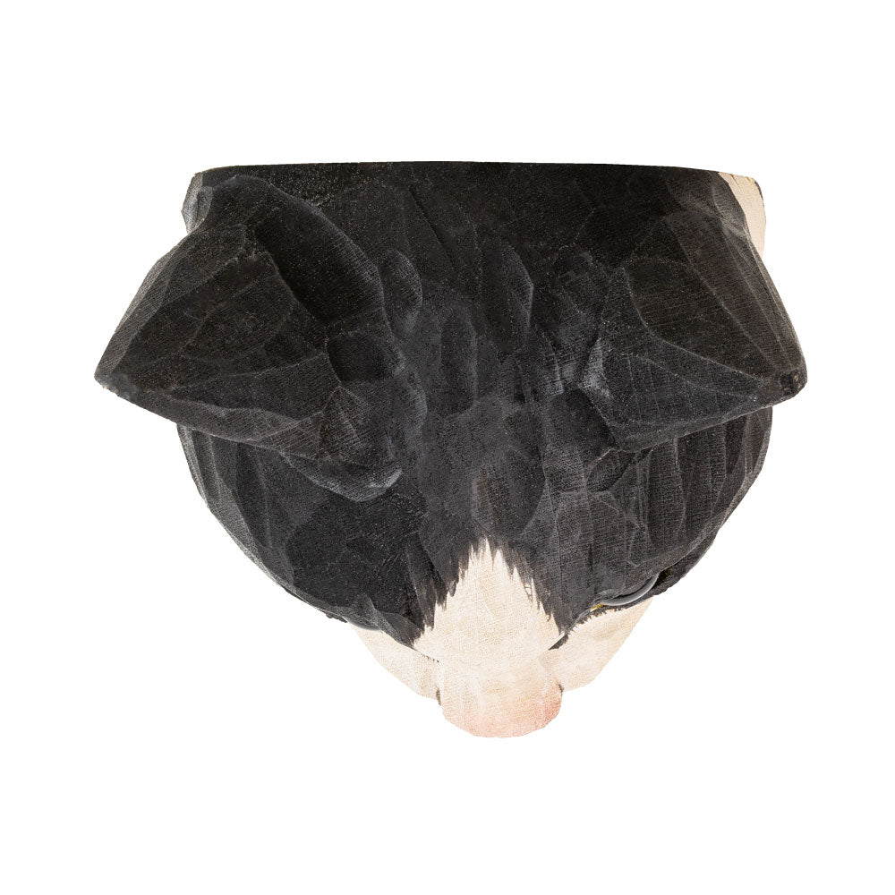 The top view black cat-shaped object on a white background
