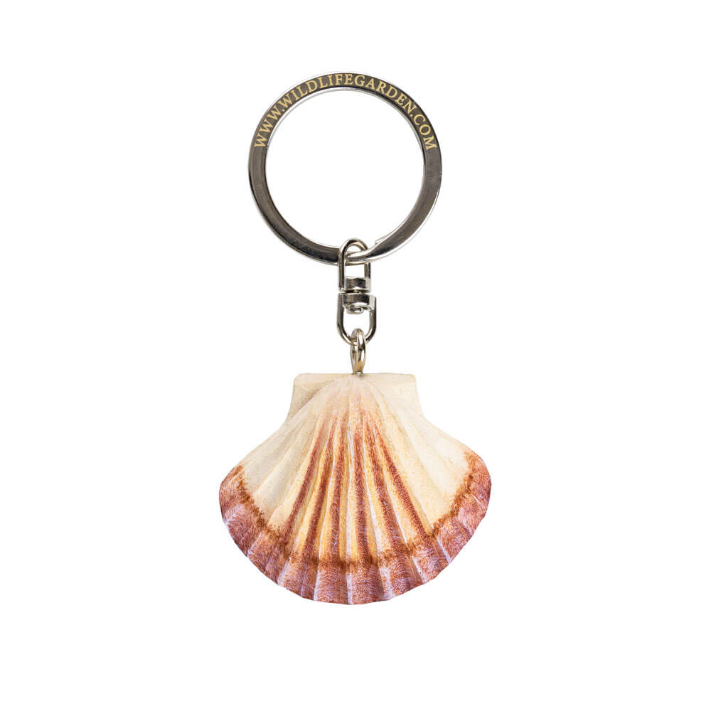Shell keychain with a metal ring on a white background