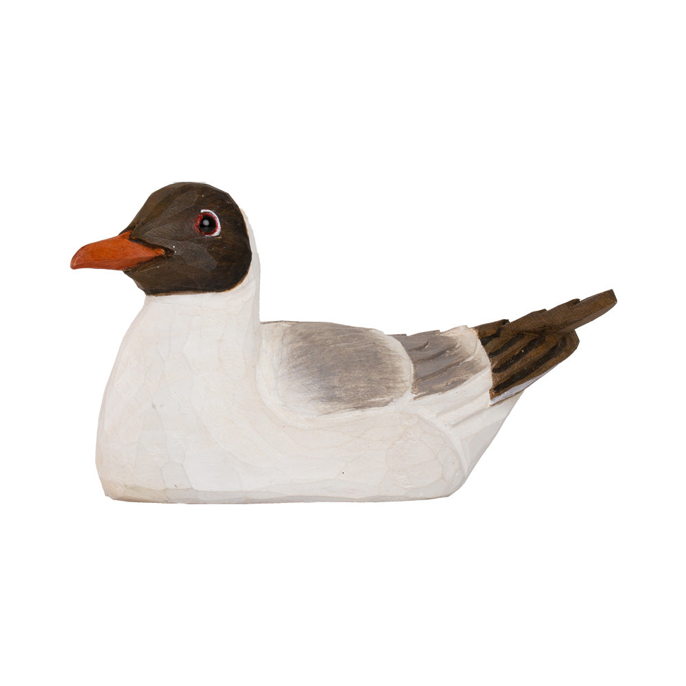 Bottle Opener - Black-Headed Gull