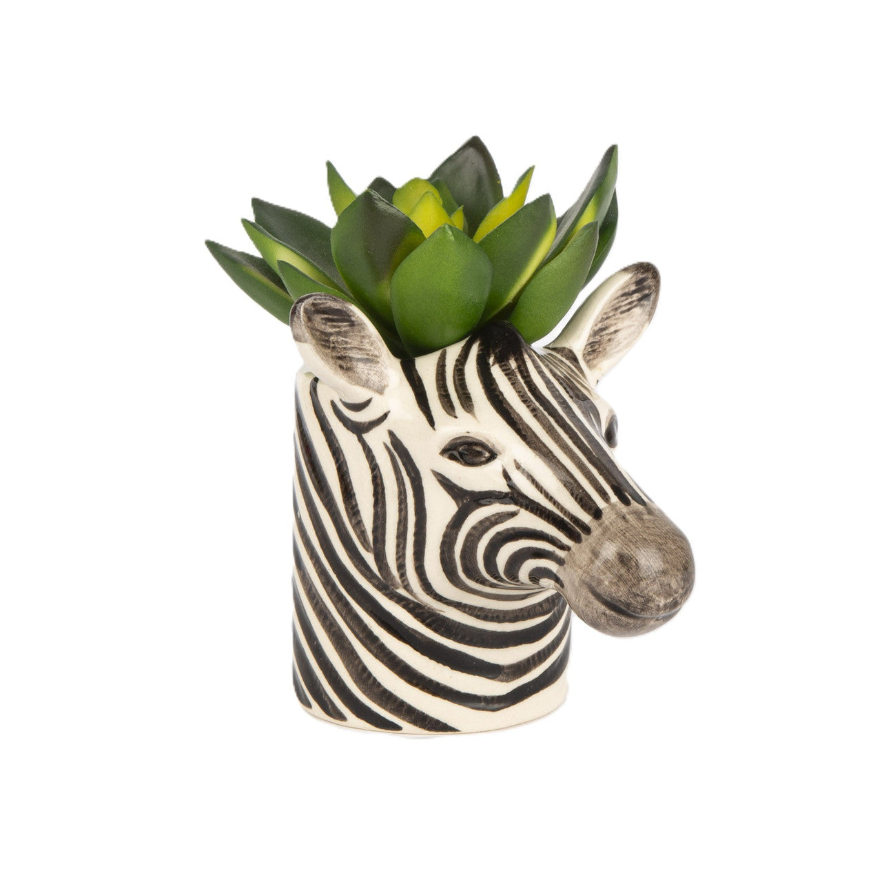 Zebra-shaped planter with a succulent on a white background