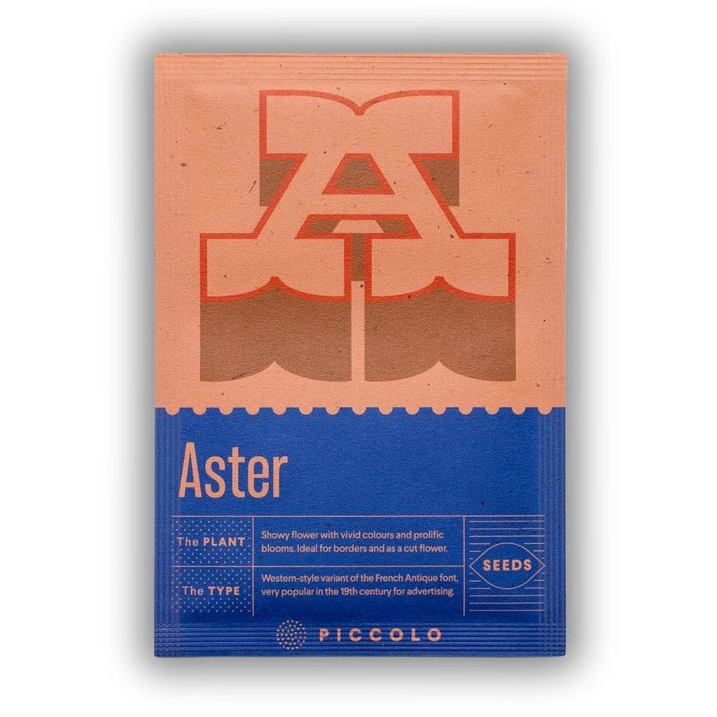 Seeds - Botanical Alphabet Collection - Aster