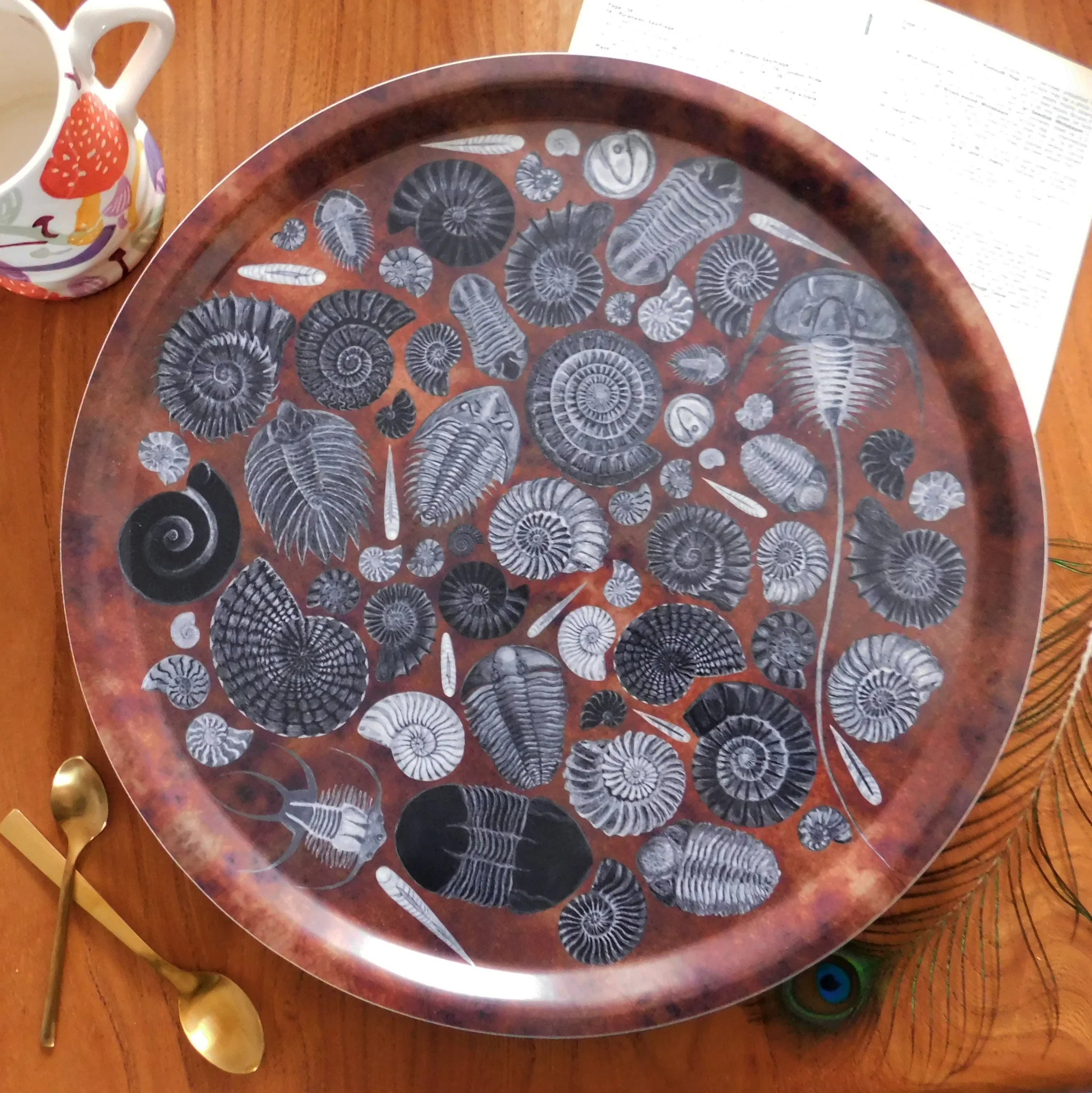 Round Tray - Ammonoidea Fossils
