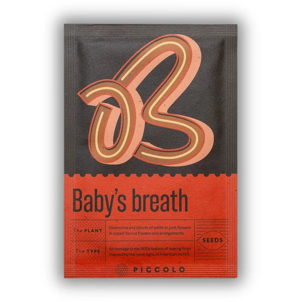Seeds - Botanical Alphabet Collection - Baby's Breath
