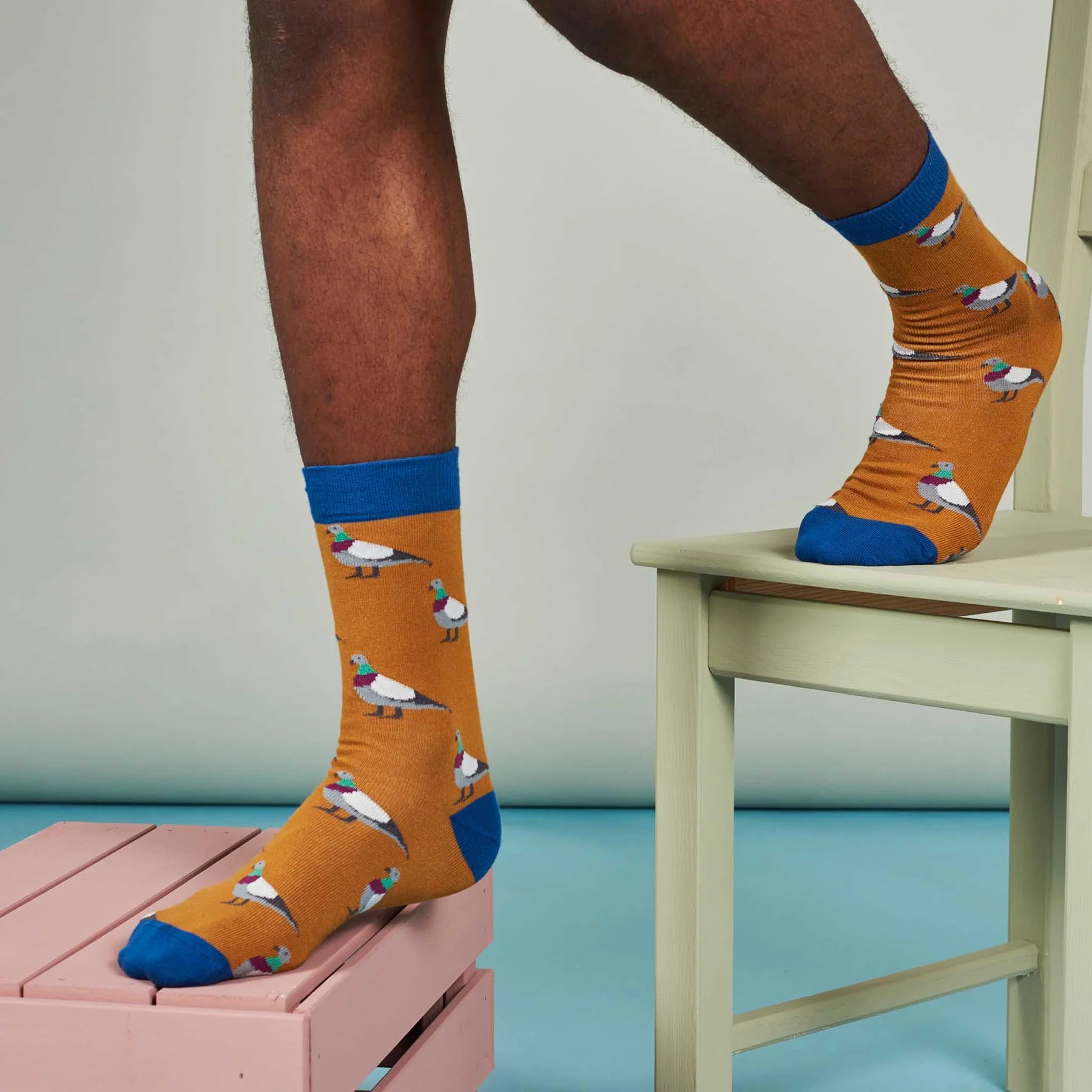 Mustard-colored socks with a repeating pattern of stylized pigeons.  The socks have a royal blue cuff.