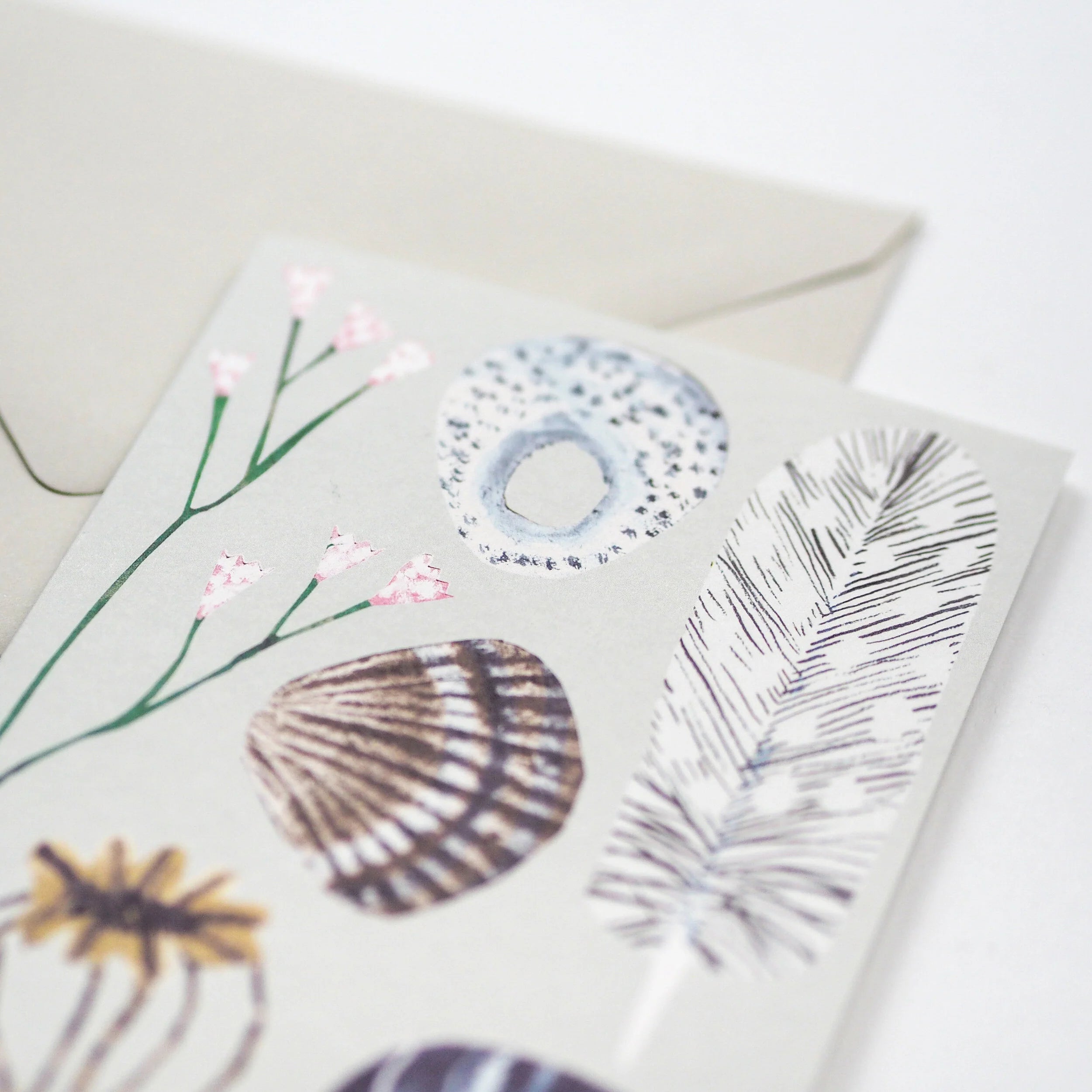 Greeting card featuring illustrated flowers, shells, and a feather on a light gray background.