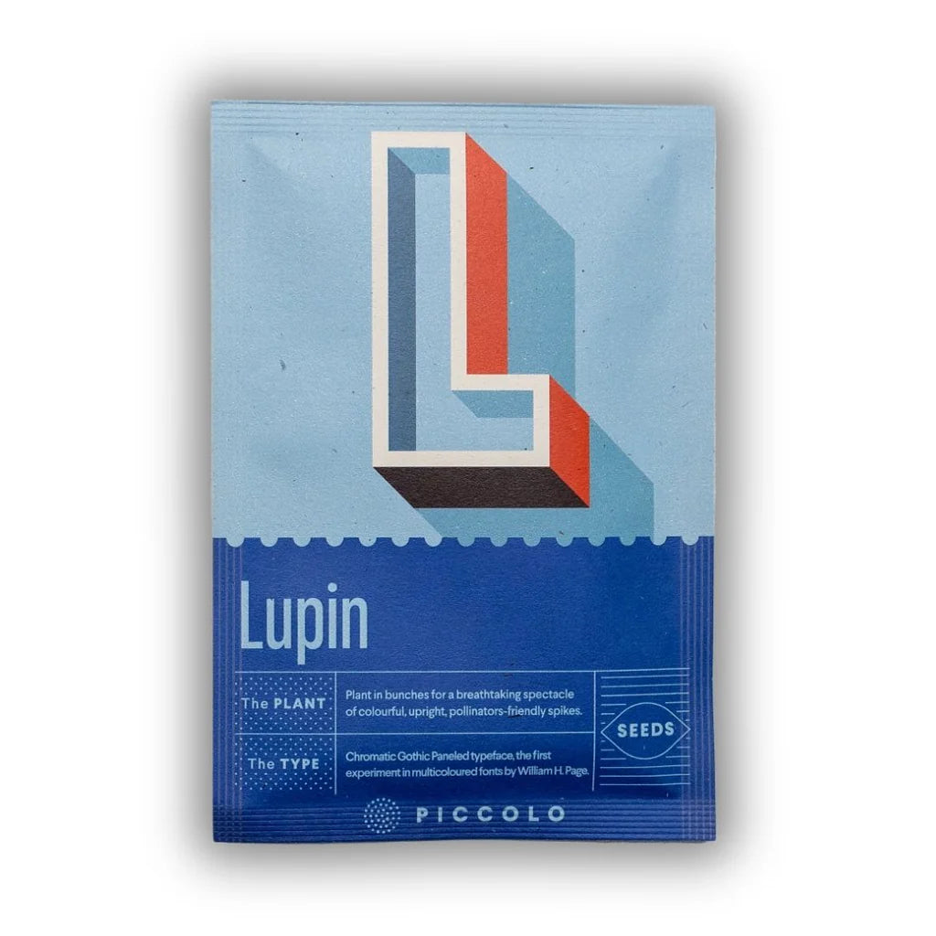 Seeds - Botanical Alphabet Collection - Lupin