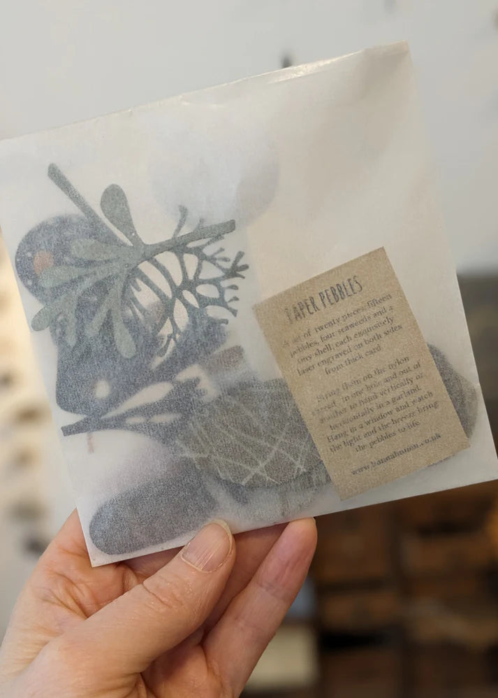 Set of fifteen laser-engraved paper pebbles and four seaweeds, packaged in a translucent envelope.