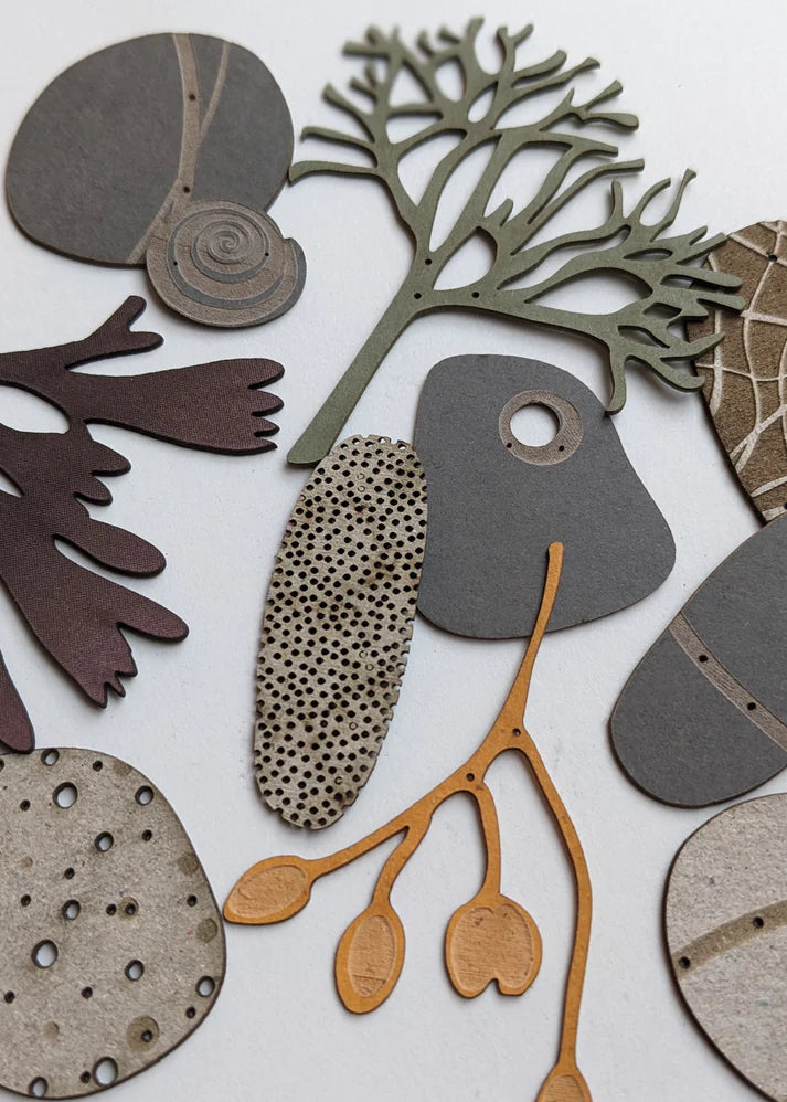 Collection of abstract, cut-out shapes resembling seaweed, stones, and coral in muted greens, browns, and grays.