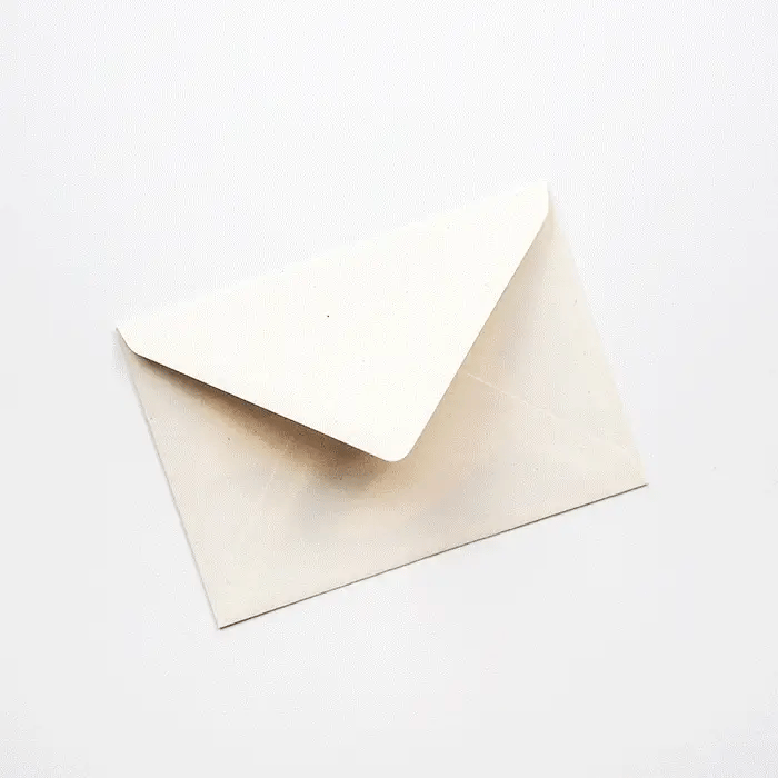 Peace Dove Christmas Card