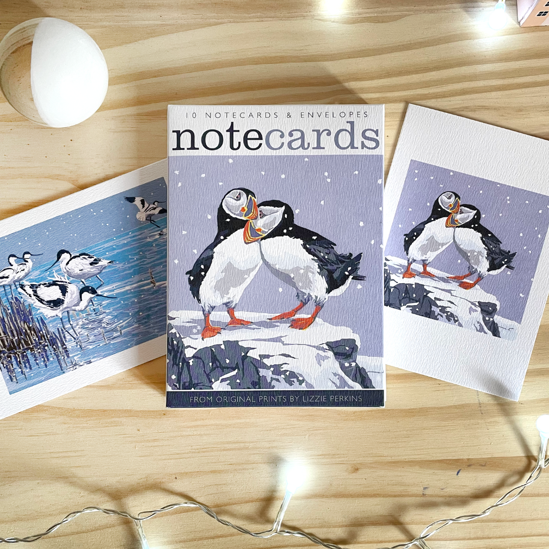 Box of 10 notecards featuring two puffins on a snowy rock.  Includes envelopes.  Notecards by Lizzie Perkins.