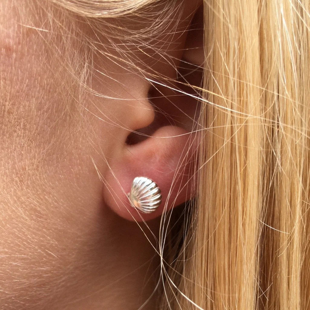 Silver shell-shaped stud earrings.