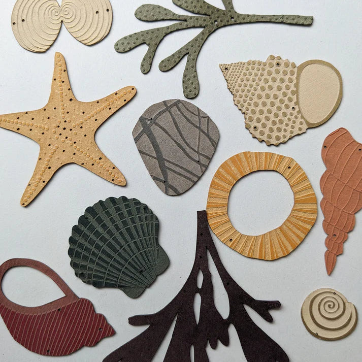 Hanging Decoration - Seashells