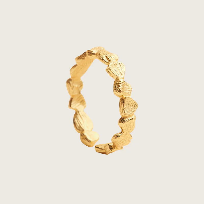 Gold ring with textured design on a beige background