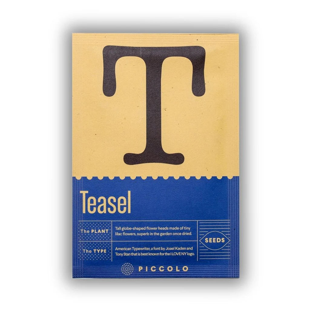 Seeds - Botanical Alphabet Collection - Teasel