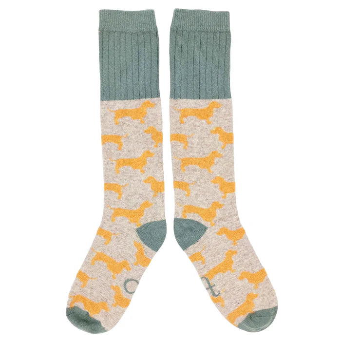 Pair of knee-high socks; light grey with repeating pattern of mustard-yellow dachshunds; teal cuffs and toes.