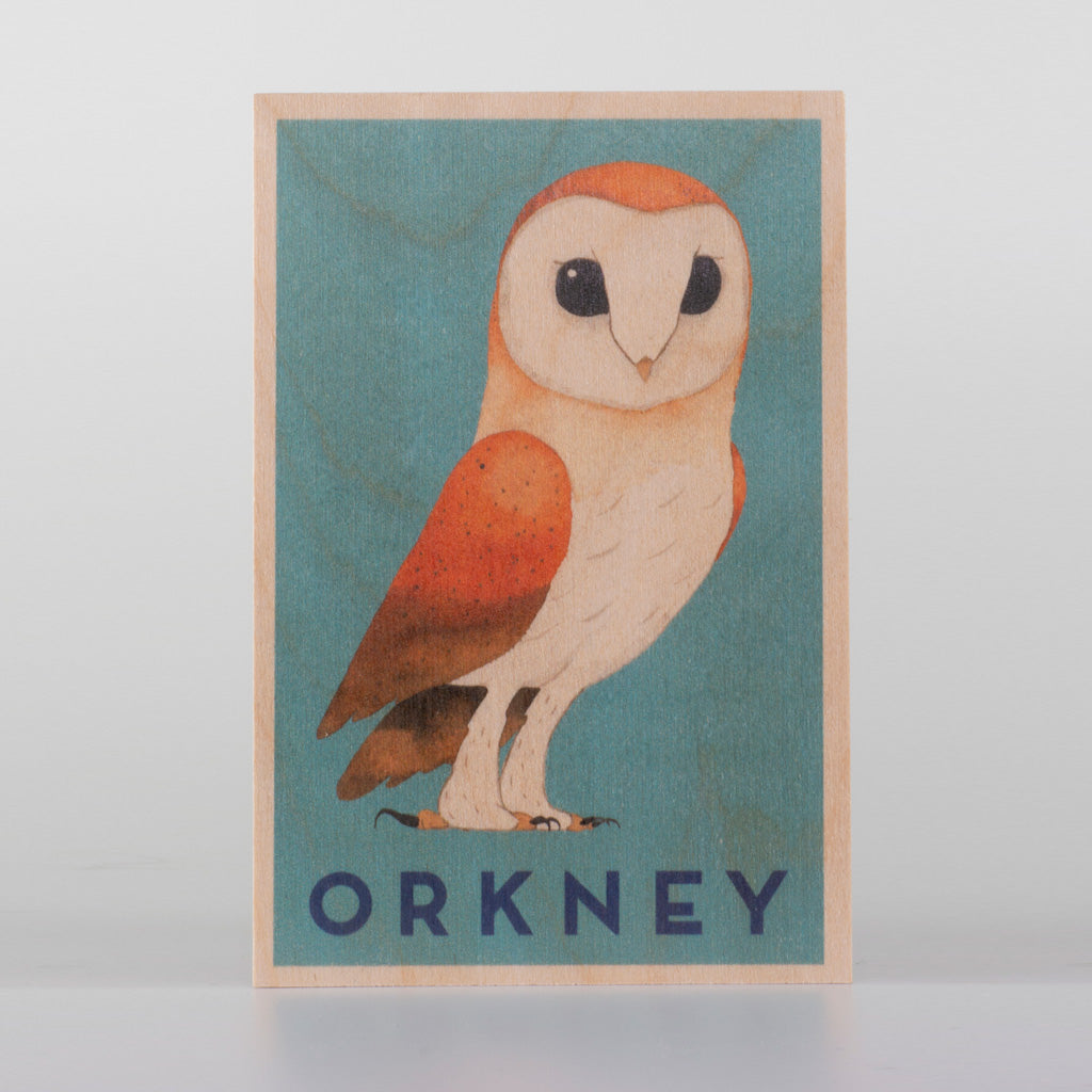 Wooden block print of a barn owl, predominantly cream and orange, on a teal background.