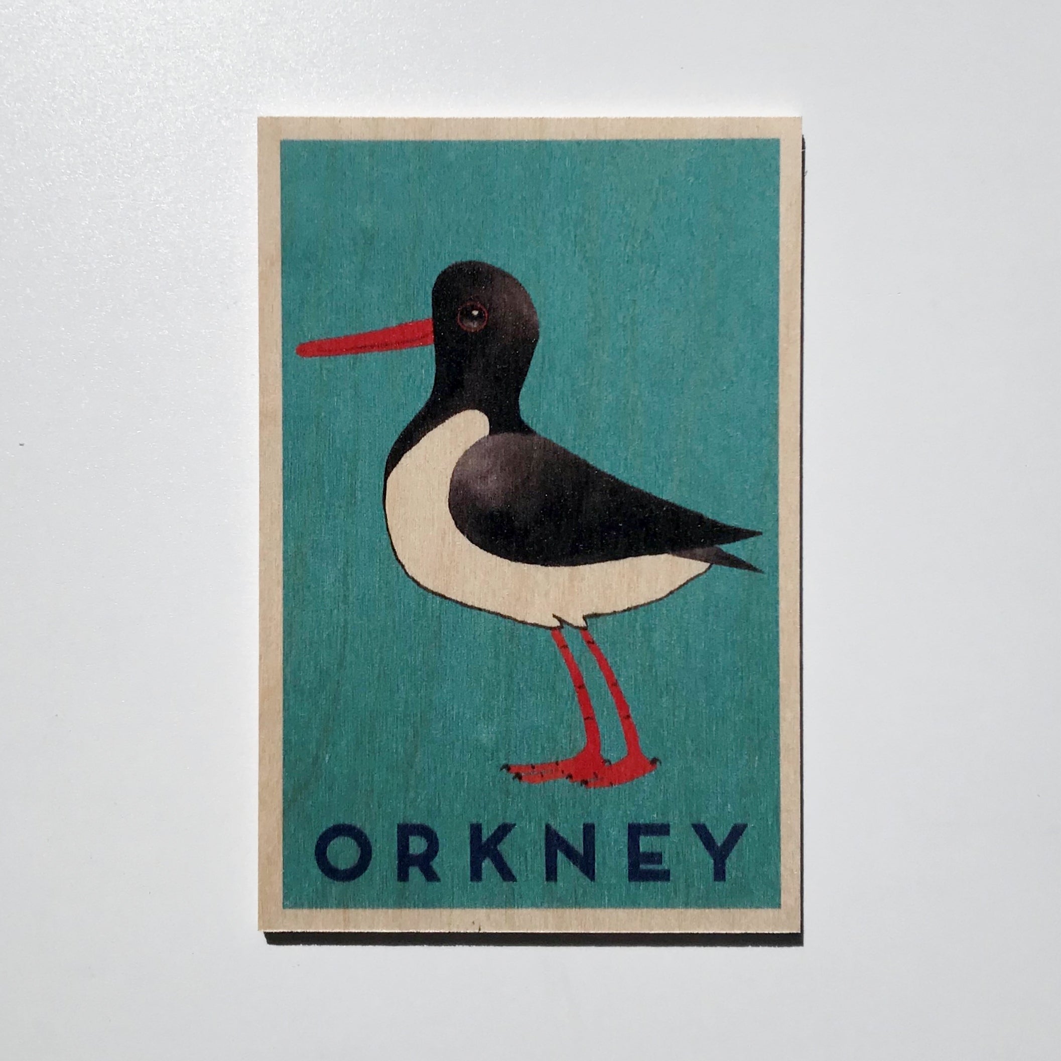 Wooden coaster featuring a stylized illustration of an oystercatcher bird against a teal background, with "ORKNEY" printed