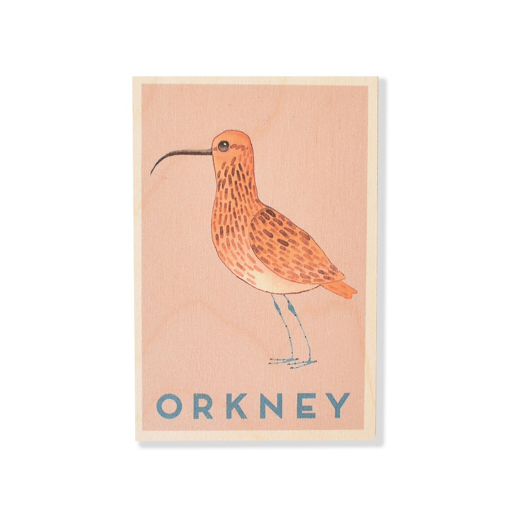 Wooden print of an orange bird with brown speckles, long beak, and blue legs, labeled "ORKNEY".