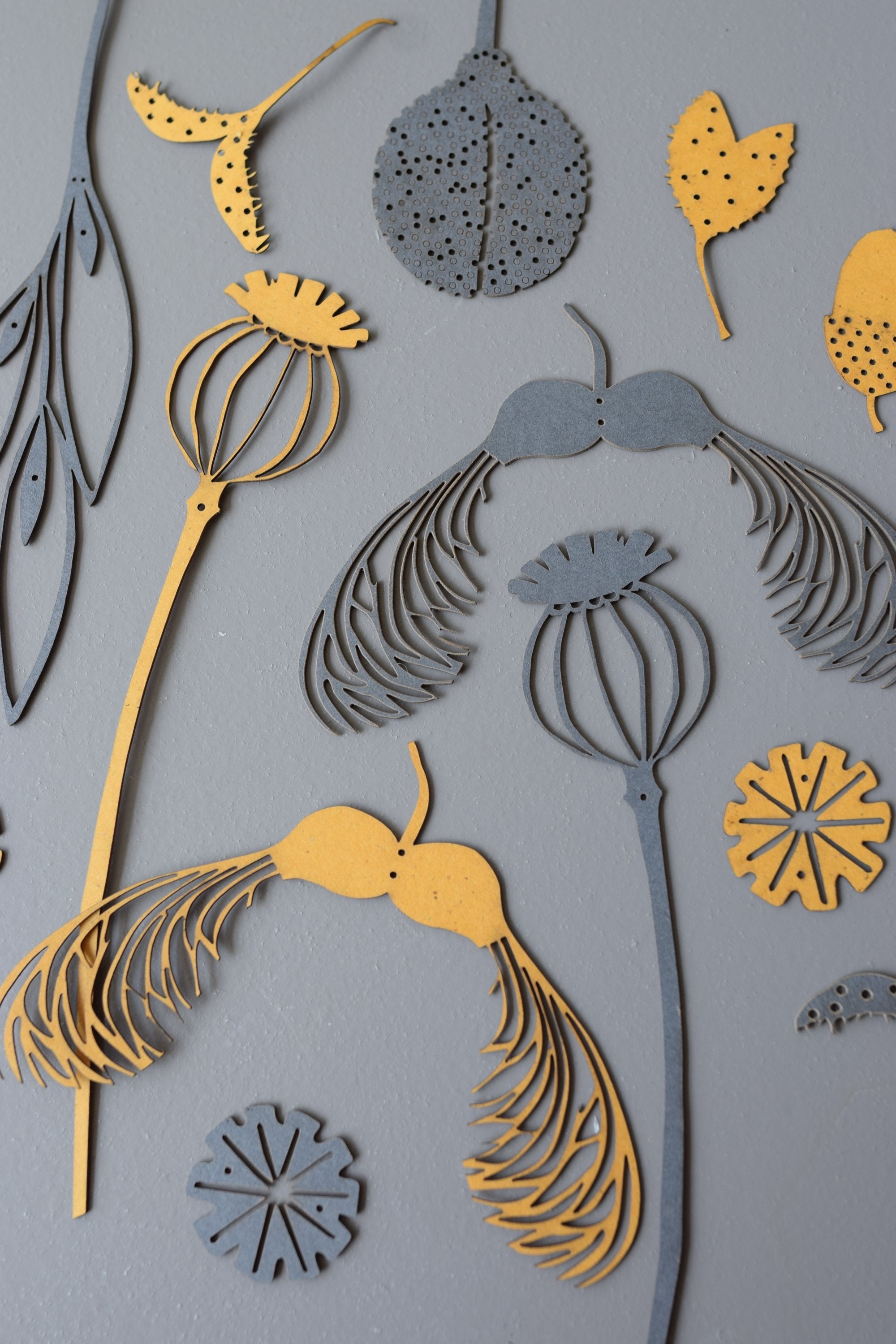 Collection of gray and gold laser-cut botanical shapes, including poppy seed heads and leaves, arranged on a gray background.