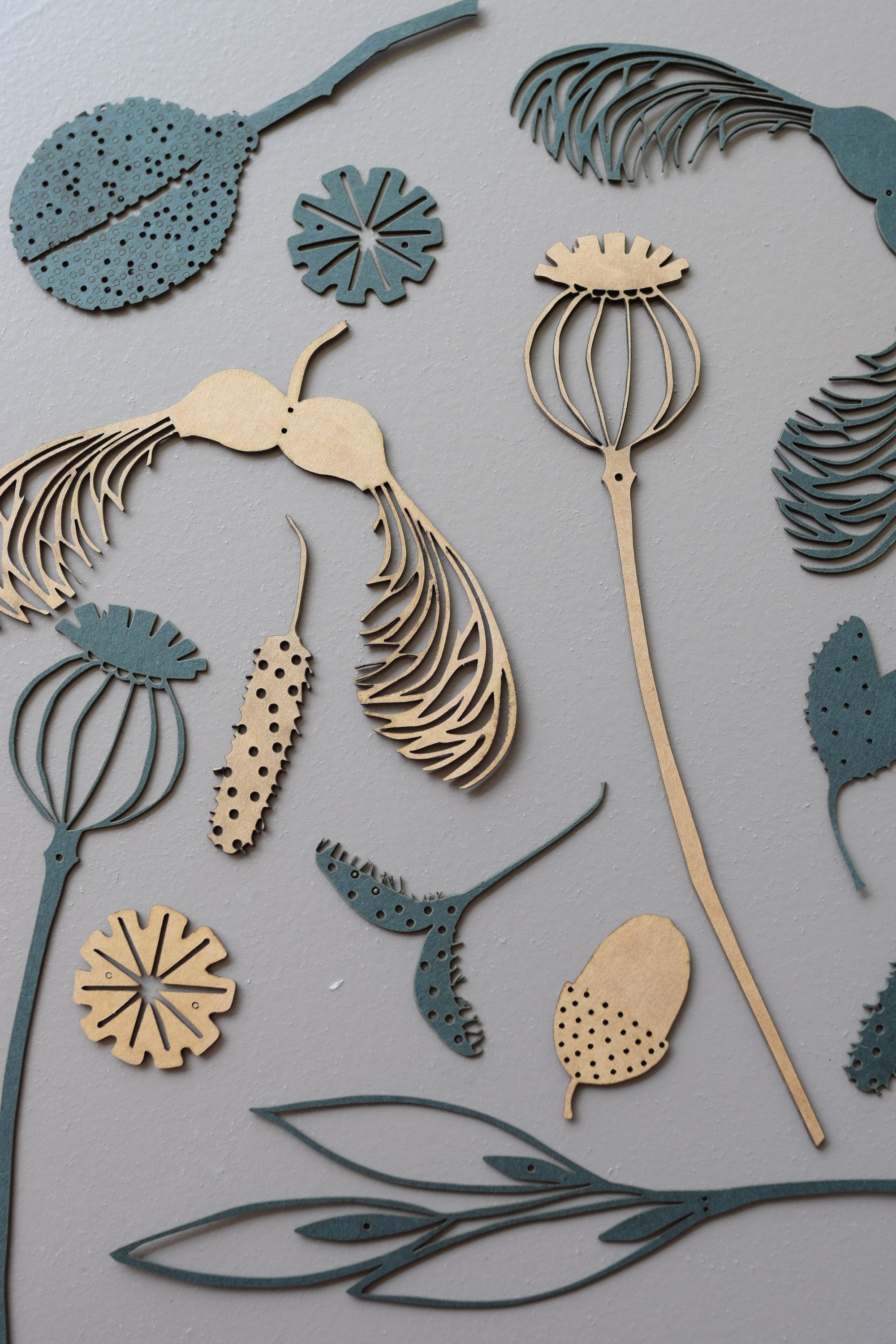 Collection of teal and beige laser-cut botanical shapes: seed pods, flowers, leaves, and acorns.
