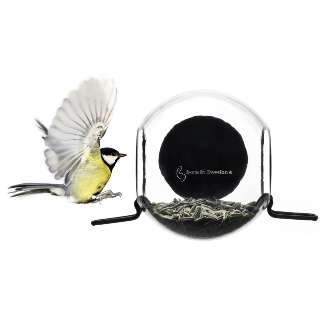 A yellow and black bird flies near a round bird feeder by Born in Sweden, filled with sunflower seeds.