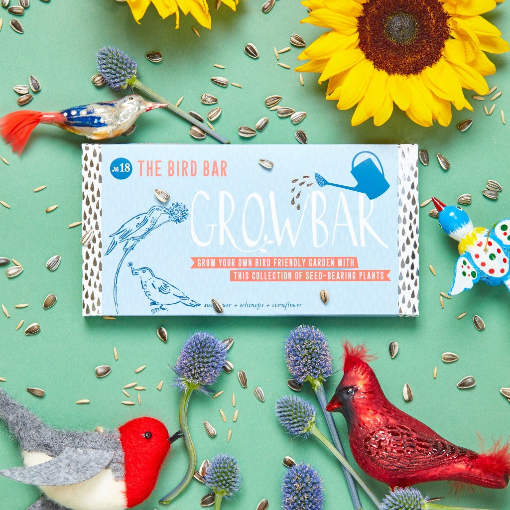 Growbar seed kit:  A box featuring illustrations of birds and plants, containing seeds for sunflowers, echinops, and