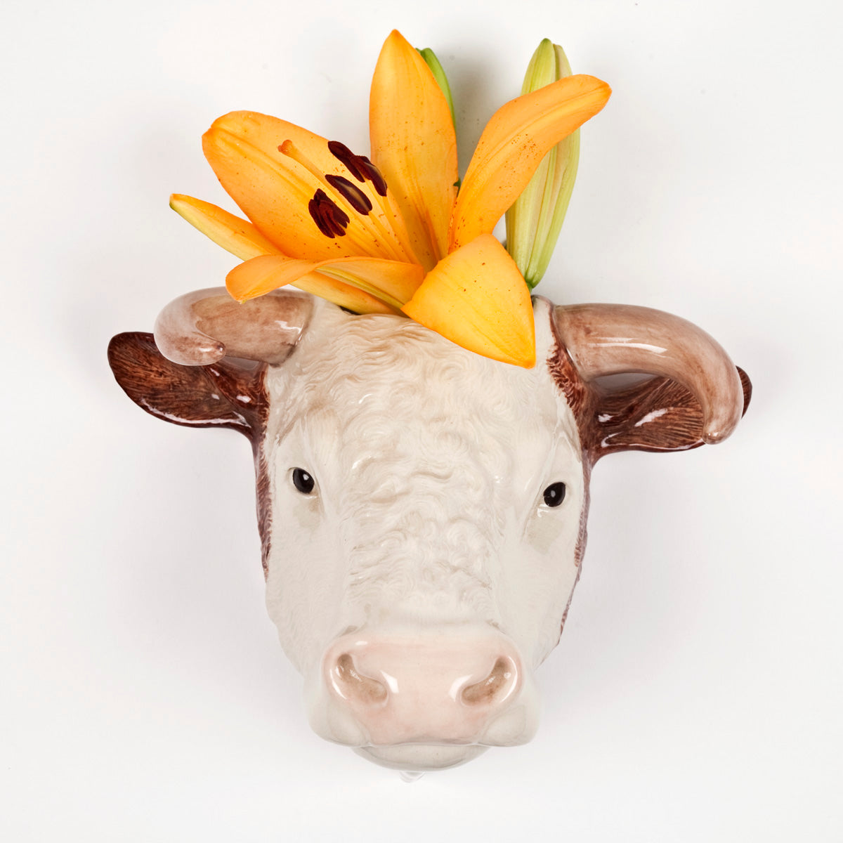 Ceramic bull head planter with orange lily.