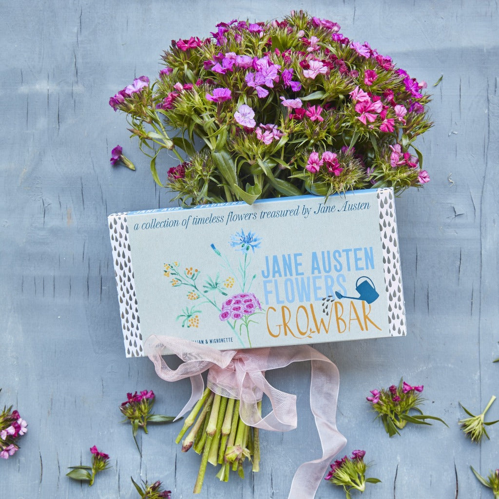 Jane Austen Flowers Growbar kit with pink and purple flowers; illustrated box shows various blooms.