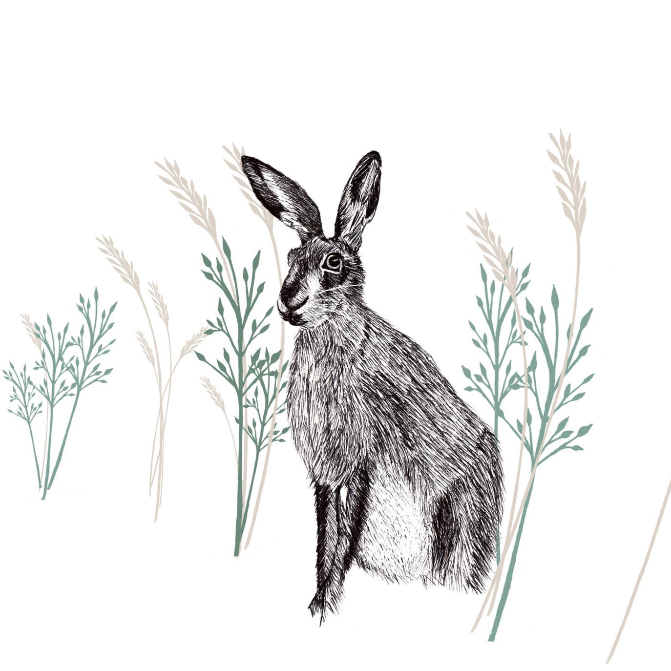 Pen-and-ink drawing of a hare sitting amidst stylized grasses.