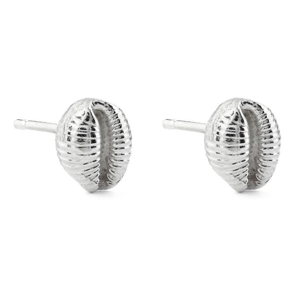 Pair of silver shell-shaped stud earrings.  Each earring features detailed shell texture.