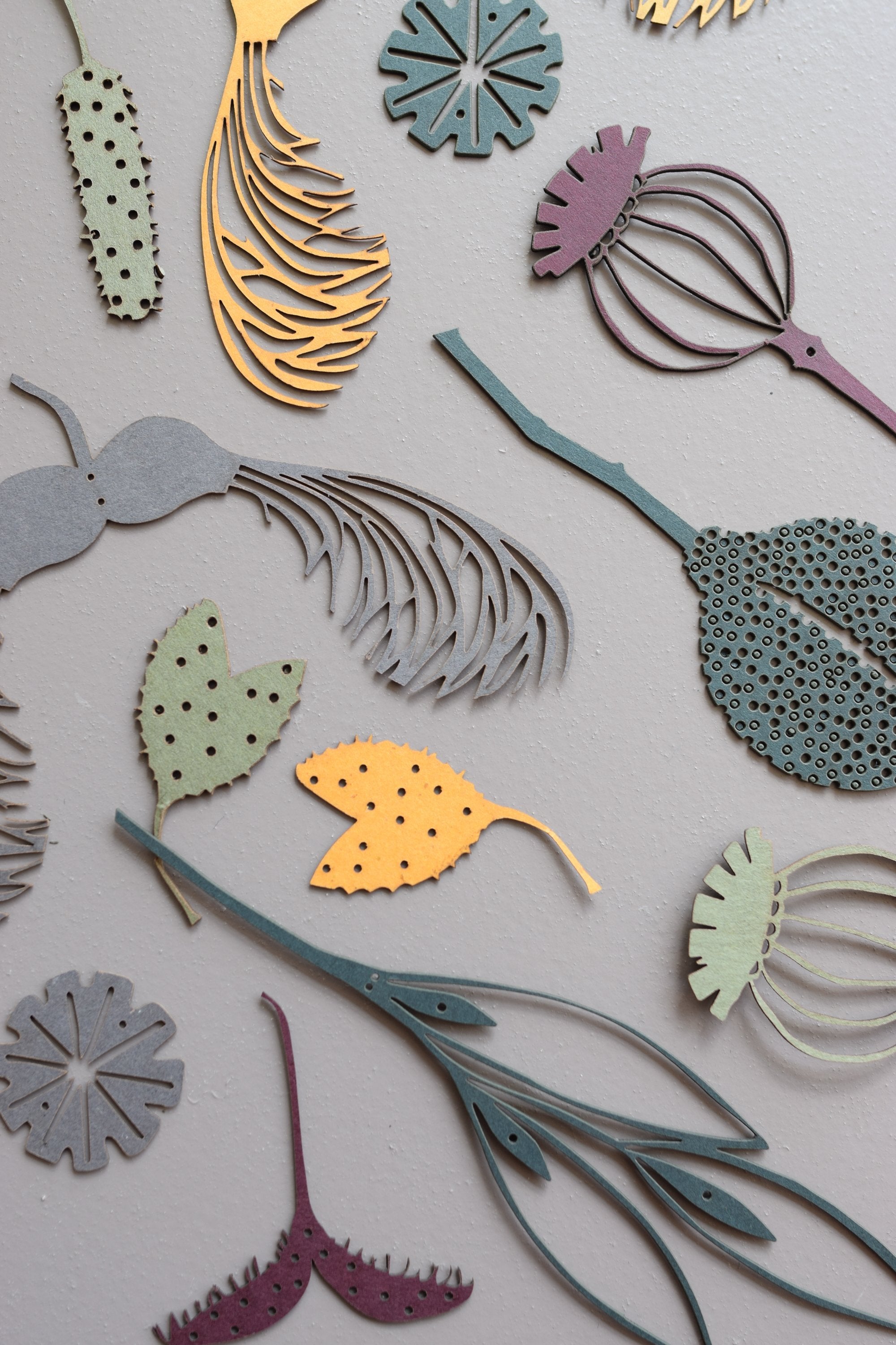 Collection of stylized botanical shapes cut from colored cardstock.