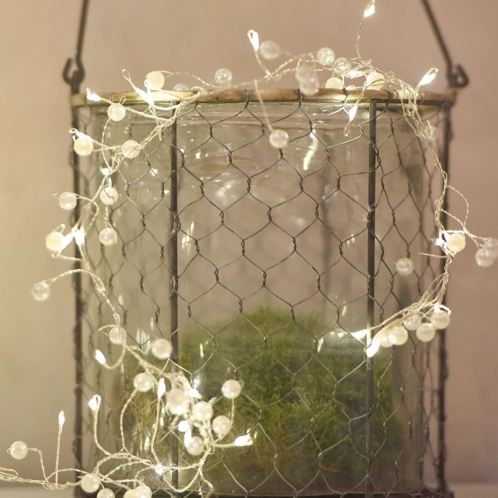 Glass lantern with wire mesh enclosure, containing moss and illuminated by a string of warm white LED lights with pearl